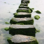 Stepping stones