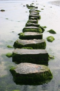 Stepping Stone