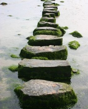 Stepping Stone